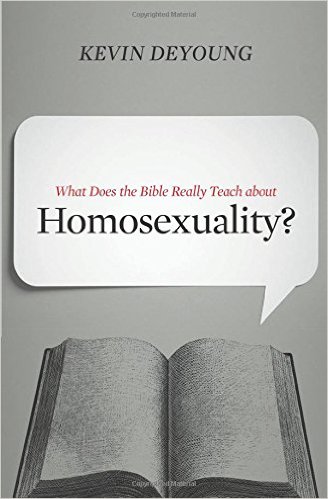What Does the Bible Really Teach about Homosexuality? book cover