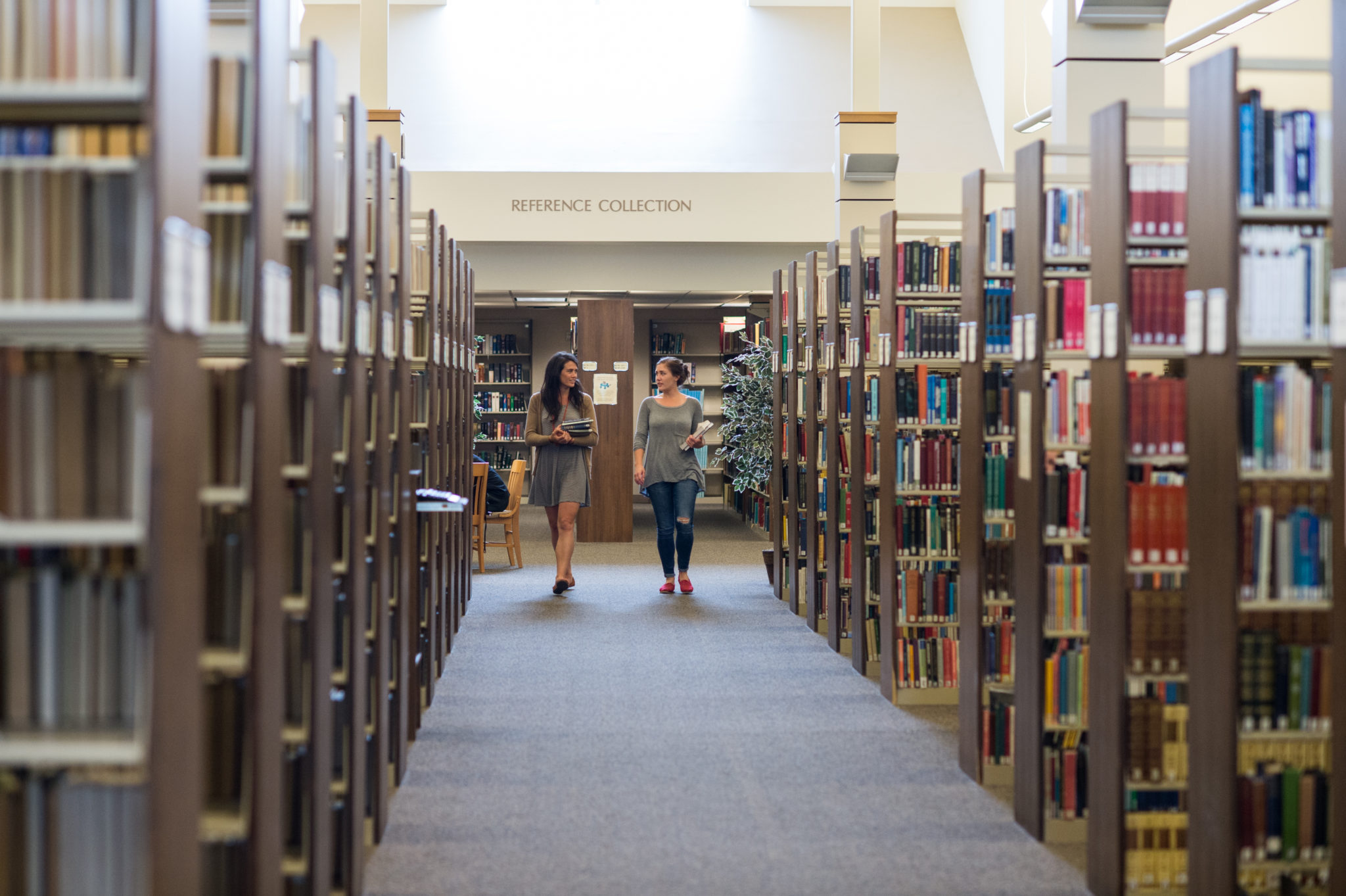 Library Denver Seminary